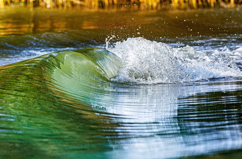 Energy Flow Movements