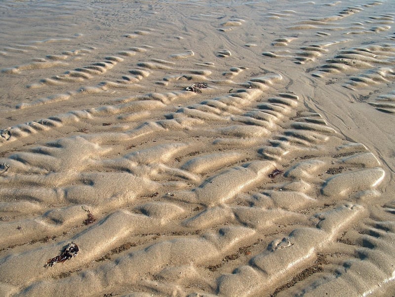 Energy Flow Image